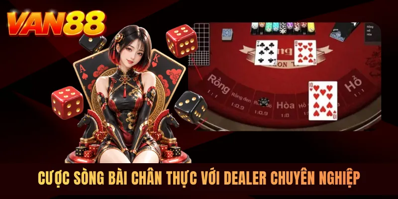 Cược sòng bài chân thực với Dealer chuyên nghiệp