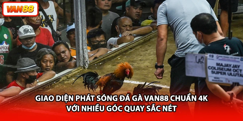 Giao diện phát sóng đá gà VAN88 chuẩn 4K với nhiều góc quay sắc nét